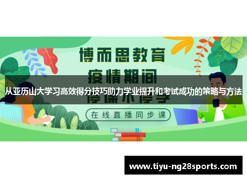 从亚历山大学习高效得分技巧助力学业提升和考试成功的策略与方法