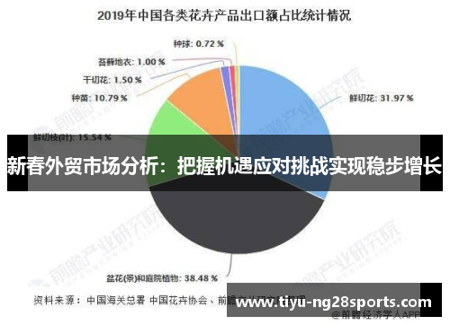 新春外贸市场分析：把握机遇应对挑战实现稳步增长